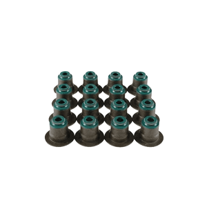 Ford 2.2TDCI CVFF Diesel Valve Stem Seals