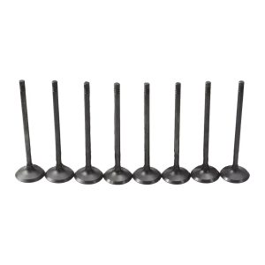 Land Rover 2.0 PT204 Petrol Inlet Valve