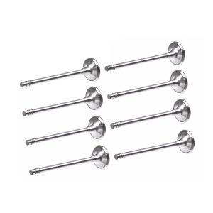 Peugeot 2.0 AHN(DW10FUD) Diesel Inlet Valve