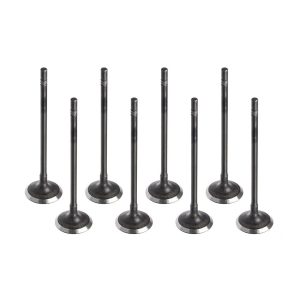 Vauxhall 1.4 B 14 XFT Petrol Inlet Valve