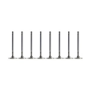 Vauxhall 2.2 4HB (DW12RUD) Diesel Inlet Valve