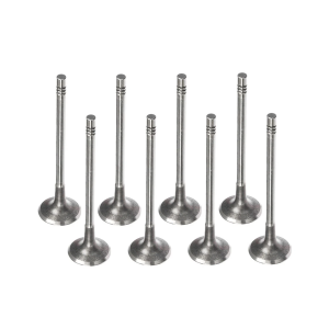 Peugeot 1.5 YHW (DV5RE) Diesel Inlet Valve