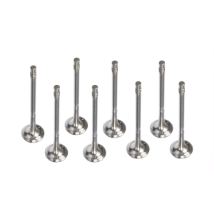 Ford 1.5 ZTDB Diesel Exhaust Valve