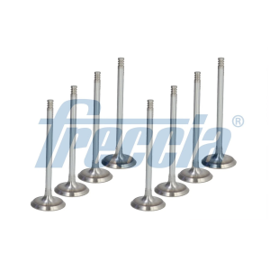 Land Rover 2.0 204DTD Diesel Inlet Valve