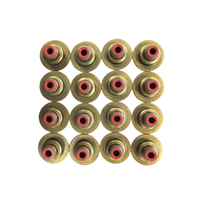 Vauxhall 1.4 B 14 XFT Petrol Valve Stem Seals