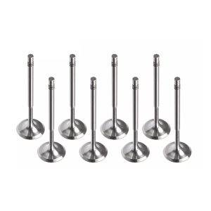 Audi 1.4TFSI CAXA Petrol Inlet Valve