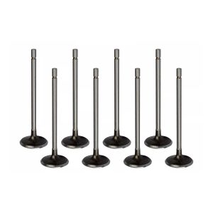 Ford 2.0 TNWA Petrol Inlet Valve