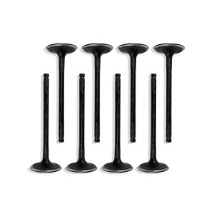 Hyundai 1.6 G4FD Petrol Inlet Valve