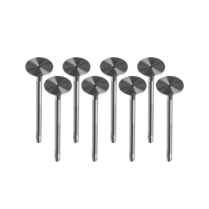 Audi 1.4TFSI CAXA Petrol Inlet Valve