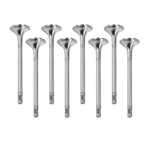 Peugeot 2.0 AHN (DW10FUD) Diesel Inlet Valve