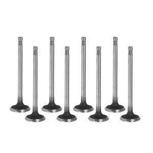 Peugeot 2.0 AHN (DW10FUD) Diesel Exhaust Valve